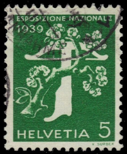 Svizzera 264 albero e - svizzera,